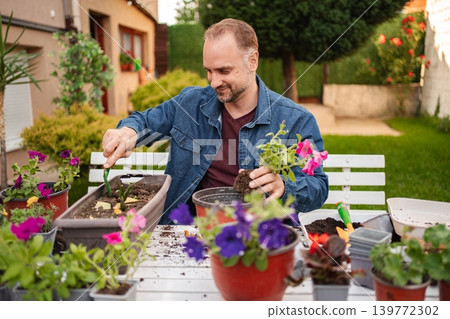 Gardener tends to vibrant flowers in sunny backyard Gardener tends to vibrant flowers in sunny backyard 139772302