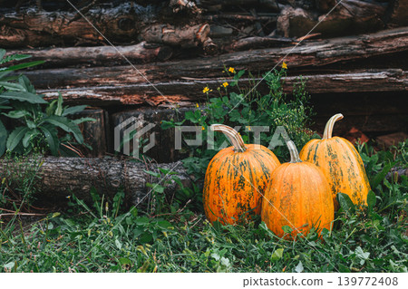 Three ripe orange pumpkins on a grass and rustic background. Thanksgiving card concept. Three ripe orange pumpkins on a grass and rustic background. Thanksgiving card concept. 139772408