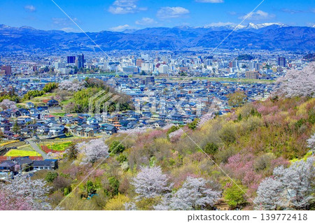 春季花見山和福島市盛開的景色(福島縣福島市,4月) 春季花見山和福島市盛開的景色(福島縣福島市,4月) 139772418