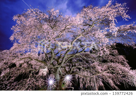 The cherry blossoms of Hōsui are illuminated at night (Fukushima City, Fukushima Prefecture, early April). The cherry blossoms of Hōsui are illuminated at night (Fukushima City, Fukushima Prefecture, early April). 139772426