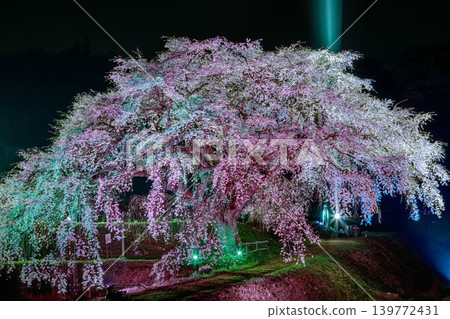 The cherry blossoms of Hōsui are illuminated at night (Fukushima City, Fukushima Prefecture, early April). The cherry blossoms of Hōsui are illuminated at night (Fukushima City, Fukushima Prefecture, early April). 139772431