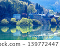 Fresh greenery in the "Submerged Forest of Lake Shirakawa" (Iide Town, Yamagata Prefecture, late April) 139772447