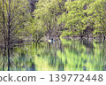 Canoe tour of the "Submerged Forest of Shirakawa Lake" (Iide Town, Yamagata Prefecture, late April) 139772448