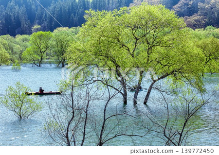 白川湖水下森林獨木舟之旅(山形縣飯出町,4月下旬) 白川湖水下森林獨木舟之旅(山形縣飯出町,4月下旬) 139772450