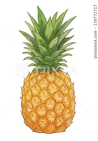 Pineapple illustration Pineapple illustration 139772717
