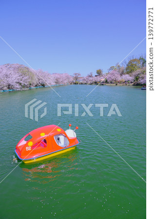 [Garyu Park] Ryugaike Pond in Spring [Suzaka City] 139772771