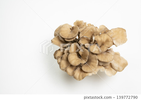 白色背景和舞茸 白色背景和舞茸 139772790