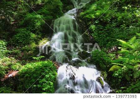Small waterfall Small waterfall 139773393