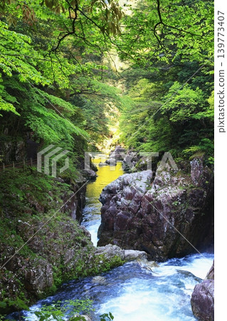 A valley that shines in the fresh green A valley that shines in the fresh green 139773407