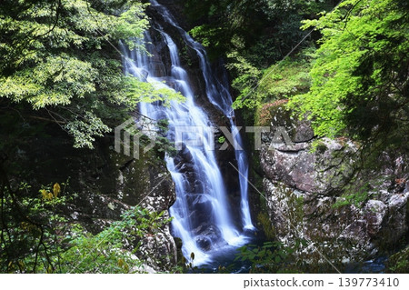 Sister Falls Sister Falls 139773410