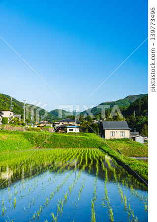 Beautiful rural landscape and rice paddies spreading out at the foot of the Utsukushigahara Plateau in early summer. Beautiful rural landscape and rice paddies spreading out at the foot of the Utsukushigahara Plateau in early summer. 139773496