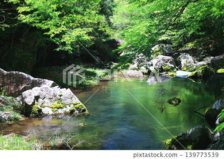 Fresh green valley 139773539