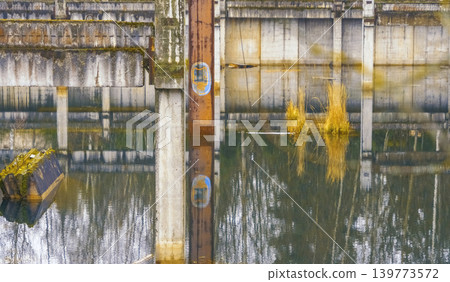 Silent waterfront scene. Serene waters mirror abandoned structures corroded and overgrown with nature Silent waterfront scene. Serene waters mirror abandoned structures corroded and overgrown with nature 139773572
