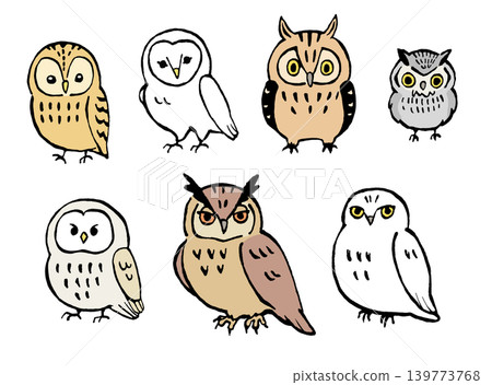 Cute owl illustration set Cute owl illustration set 139773768