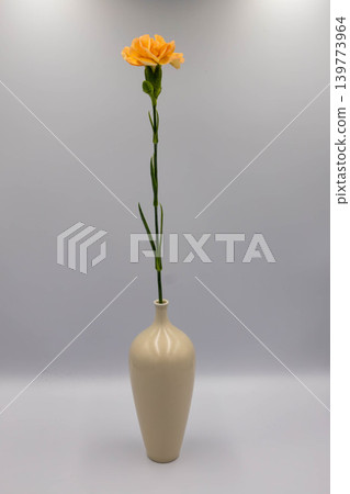 一朵橙色康乃馨和一個白色花瓶 一朵橙色康乃馨和一個白色花瓶 139773964