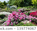 Roses 139774067