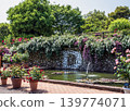 Roses 139774071
