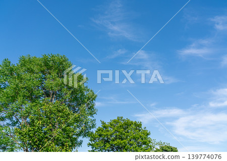 五月,春光明媚,藍天白雲,綠意盎然。 五月,春光明媚,藍天白雲,綠意盎然。 139774076