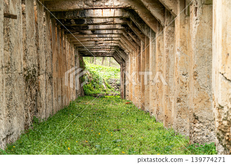Ruins, tunnel, concrete, passageway, perspective, abandoned railway line, industrial heritage, background material 139774271