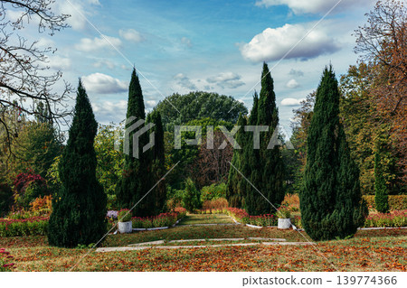 Beautiful old park with cypresses in autumn. Beautiful old park with cypresses in autumn. 139774366