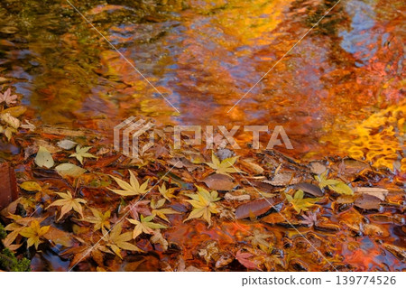 Image material of fallen leaves and water surface Image material of fallen leaves and water surface 139774526