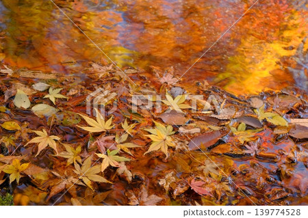 Image material of fallen leaves and water surface Image material of fallen leaves and water surface 139774528