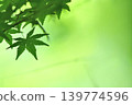 Fresh fresh green image material 139774596