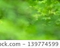 A refreshing abstract Japanese-style image of new greenery. 139774599