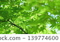 A refreshing Japanese-style image of new greenery. 139774600