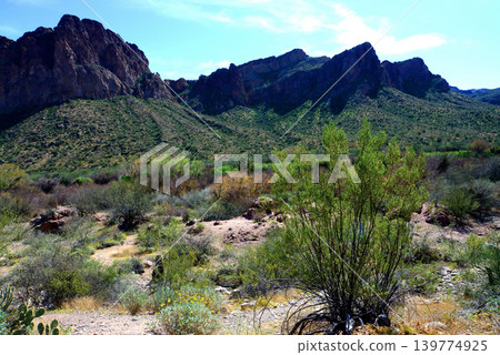 Salt River Recreation Area Arizona Salt River Recreation Area Arizona 139774925