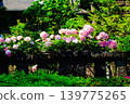 Brick buildings and pink roses are in bloom. 139775265