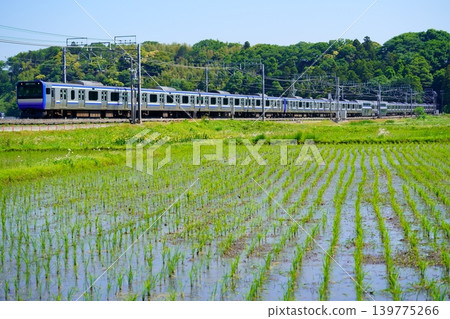 初夏時節,E235系列空車駛過稻田。 初夏時節,E235系列空車駛過稻田。 139775266