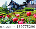 Red rose A at the former Furukawa Garden 139775290