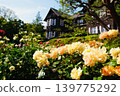 Red roses in the former Furukawa Garden C 139775292