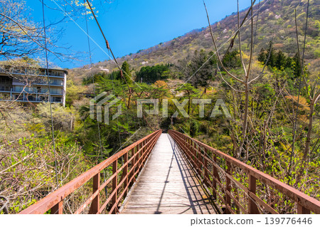 栃木縣日光市的瀧見橋(一座懸索橋)筆直地伸向藍天和鬱鬱蔥蔥的青山,景色美不勝收。 栃木縣日光市的瀧見橋(一座懸索橋)筆直地伸向藍天和鬱鬱蔥蔥的青山,景色美不勝收。 139776446