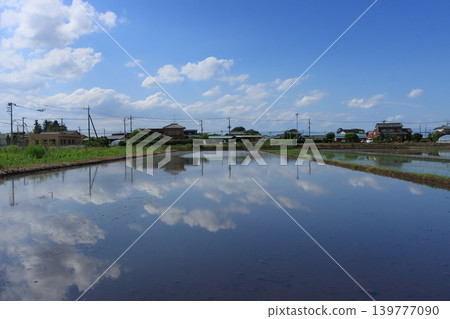 The sky reflected in a flooded rice field 139777090