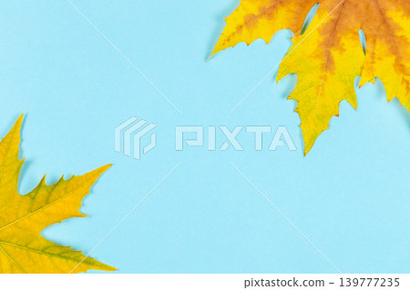 Autumn background. Beautiful autumn maple leaves on blue pastel background. Autumn background. Beautiful autumn maple leaves on blue pastel background. 139777235