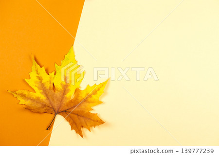 Beautiful marple leaf on a yellow and orange pastel background. Autumn colors. Place for text. Minimal. Beautiful marple leaf on a yellow and orange pastel background. Autumn colors. Place for text. Minimal. 139777239