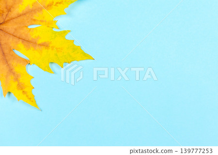 Autumn background. Beautiful autumn maple leaves on blue pastel background. Place for text. Minimal. Autumn background. Beautiful autumn maple leaves on blue pastel background. Place for text. Minimal. 139777253