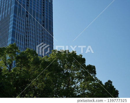 A refreshing urban backdrop of blue sky, skyscrapers, and green trees. A refreshing urban backdrop of blue sky, skyscrapers, and green trees. 139777325