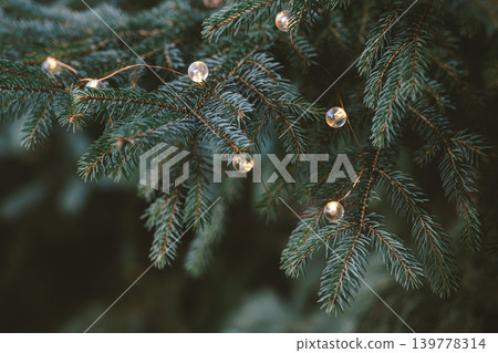 Fluffy branches of a spruce or fir-tree with christmas lights. Christmas wallpaper or postcard concept. Fluffy branches of a spruce or fir-tree with christmas lights. Christmas wallpaper or postcard concept. 139778314