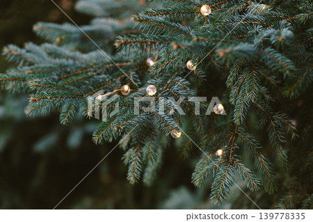 Fluffy branches of a spruce or fir-tree with christmas lights. Christmas wallpaper or postcard concept. Fluffy branches of a spruce or fir-tree with christmas lights. Christmas wallpaper or postcard concept. 139778335
