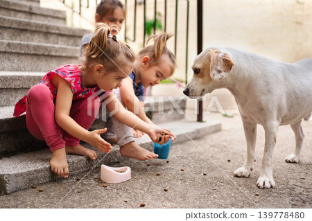 Children playing with a dog on sunny steps during the afternoon Children playing with a dog on sunny steps during the afternoon 139778480