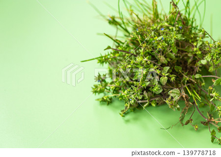 Persian speedwell weed on soft green background Persian speedwell weed on soft green background 139778718