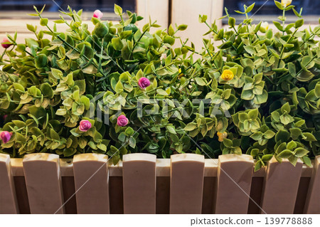 Green plants are arranged in a wooden box on a window sill with small colorful flowers. Natural light fills the space, highlighting the plants Green plants are arranged in a wooden box on a window sill with small colorful flowers. Natural light fills the space, highlighting the plants 139778888
