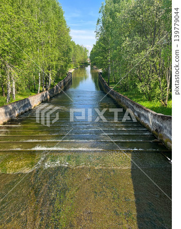 Flowing water canal with concrete steps through green forest landscape under sunny blue sky Flowing water canal with concrete steps through green forest landscape under sunny blue sky 139779044