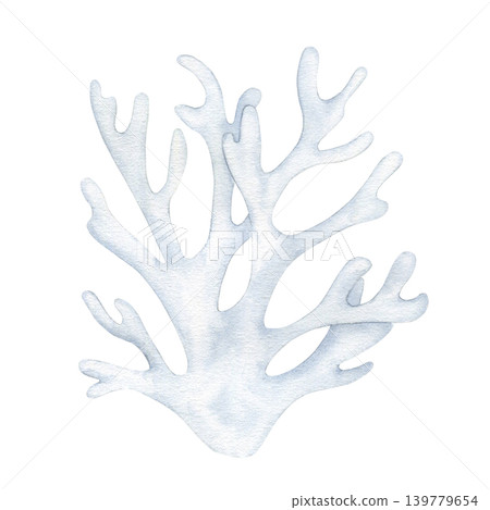 White coral reef watercolor  isolated illustration. Hand drawn  delicate marine underwater plant clipart for ocean-themed branding, aquatic design, spa decoration and summer maritime projects. 139779654
