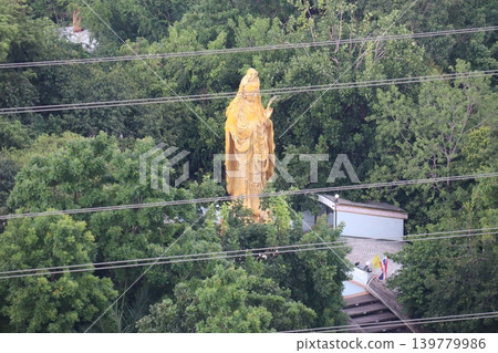 Golden Statue Amidst Lush Greenery and Power Lines 139779986