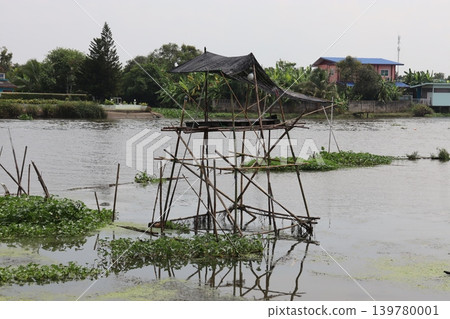 Bamboo Platform Over Flooded Water Bamboo Platform Over Flooded Water 139780001