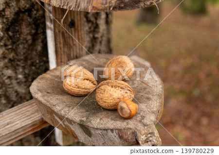 Two nuts are placed on a wooden feeder mounted on a tree. The scene shows an outdoor space with fallen leaves and trees Two nuts are placed on a wooden feeder mounted on a tree. The scene shows an outdoor space with fallen leaves and trees 139780229